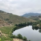 Explore Douro Valley