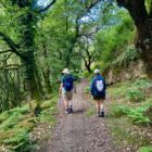 Camino de Santiago