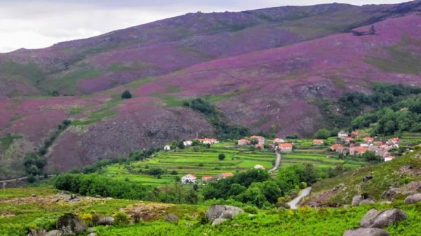 peneda geres national park