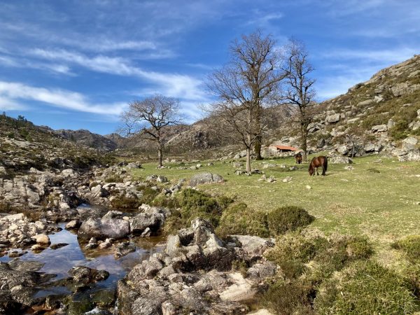 Peneda Gerês Hikes